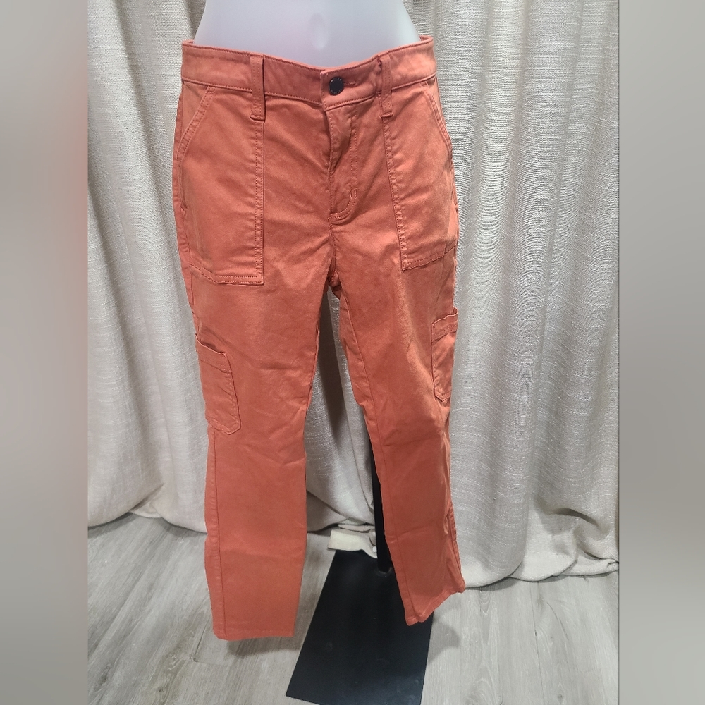 Banana Republic Pants